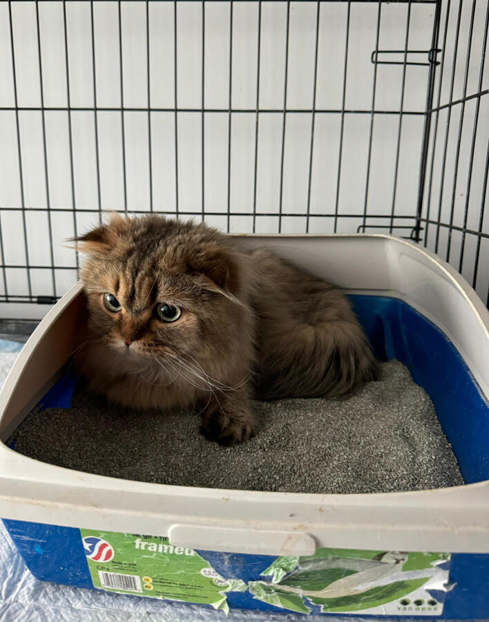 ⭐⭐⭐⭐⭐ Maria G. they made the whole process stress-free. Everything went as planned.”