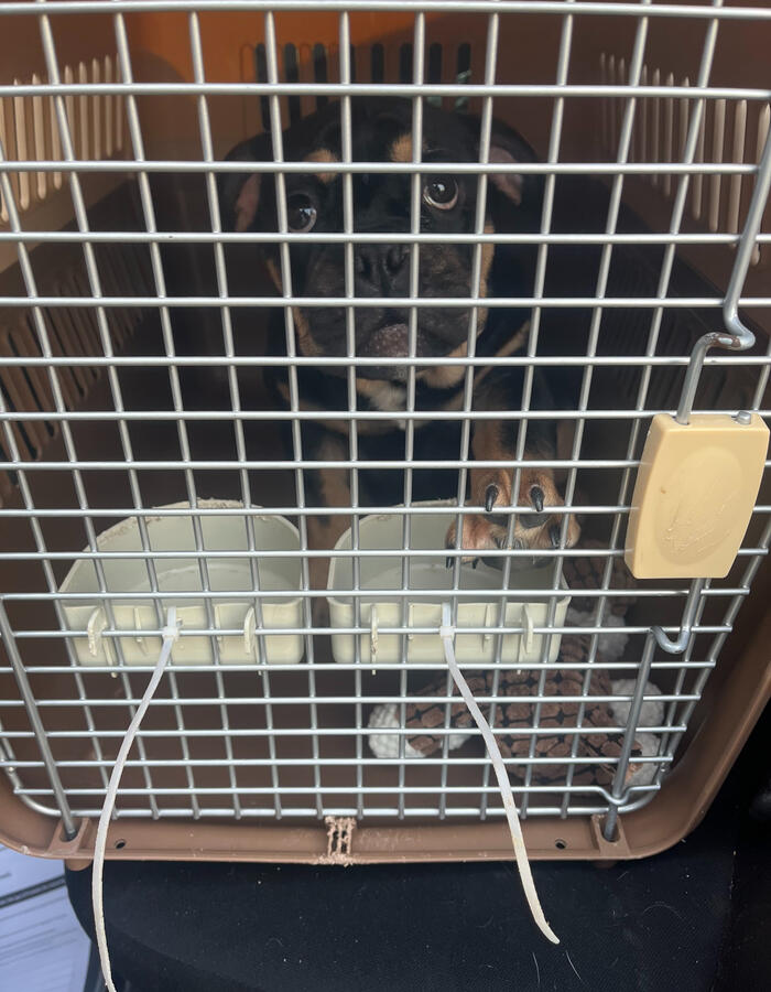 ⭐⭐⭐⭐⭐ Ahmed A. “Great service from start to finish.